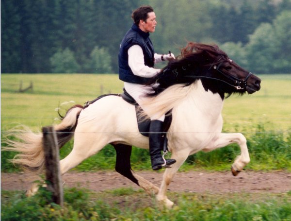 Álfskjóni von Roetgen