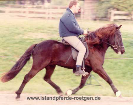 Hrafnkatla von Roetgen, Vollschwester zu Hrafn von Roetgen