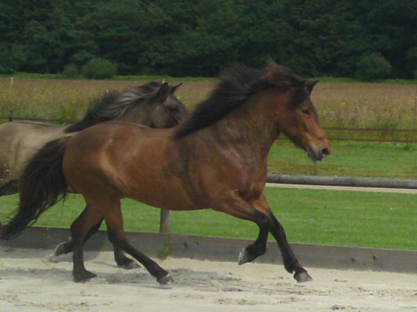 Bessa von Roetgen, 2011