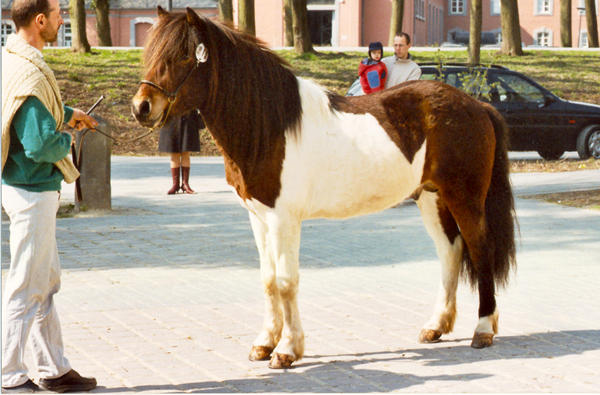 Ralf Dohr mit Jarl 2003