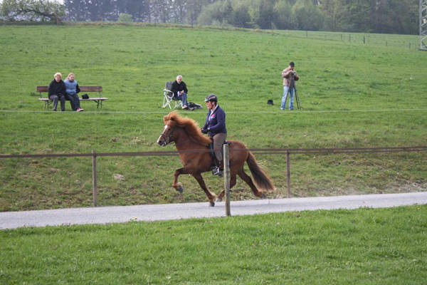 Leiftri-Berlar FIZO 2009