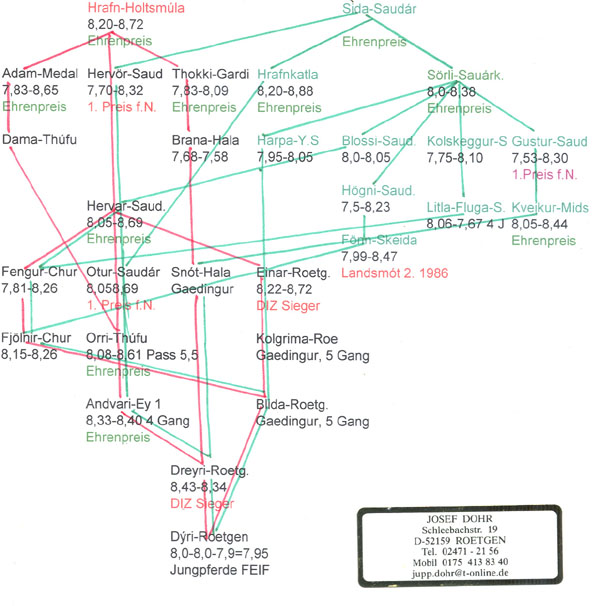 Farbgrafik Stammbaum