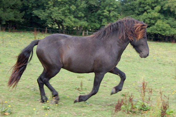 Hrannar von Roetgen