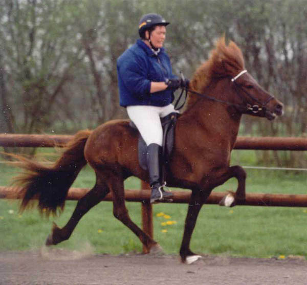 Dreyri super hoch Tlt