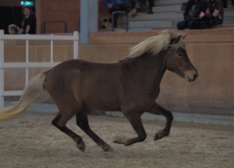 Sólfaxi am 7. April 2018 in Wickrath