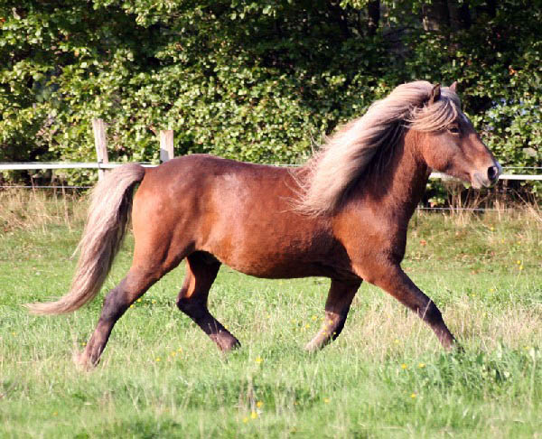 Spoki Oktober 2006