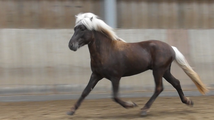 Vindur in Berlar Bewegungsbild